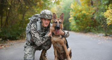 День кінолога України — це про тих, хто працює в тандемі, де довіра сильніша за слова