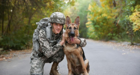 День кінолога України — це про тих, хто працює в тандемі, де довіра сильніша за слова